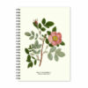 Carnet A5 Cannelle Rose