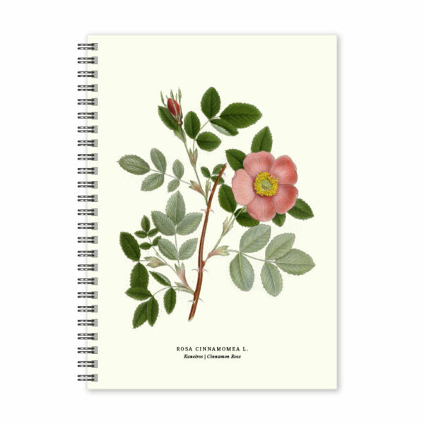 Carnet A5 Cannelle Rose